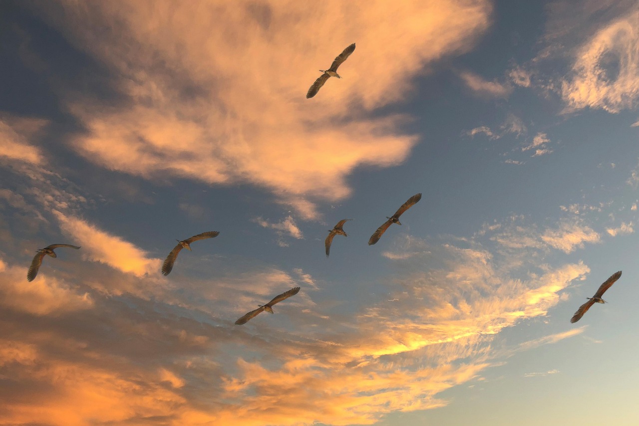 Top 6 Cloud-Migration-Dienstleister in Lübeck 2026 im Vergleich